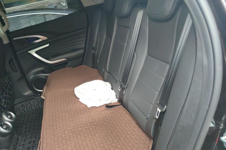 Used Wey VV7 2020 2.0T Flagship Edition Left Rear Seat