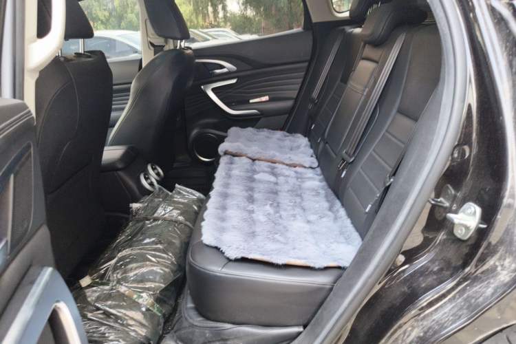 Used Wey VV7 2020 2.0T Ultra-Luxury Version Left Rear Seat