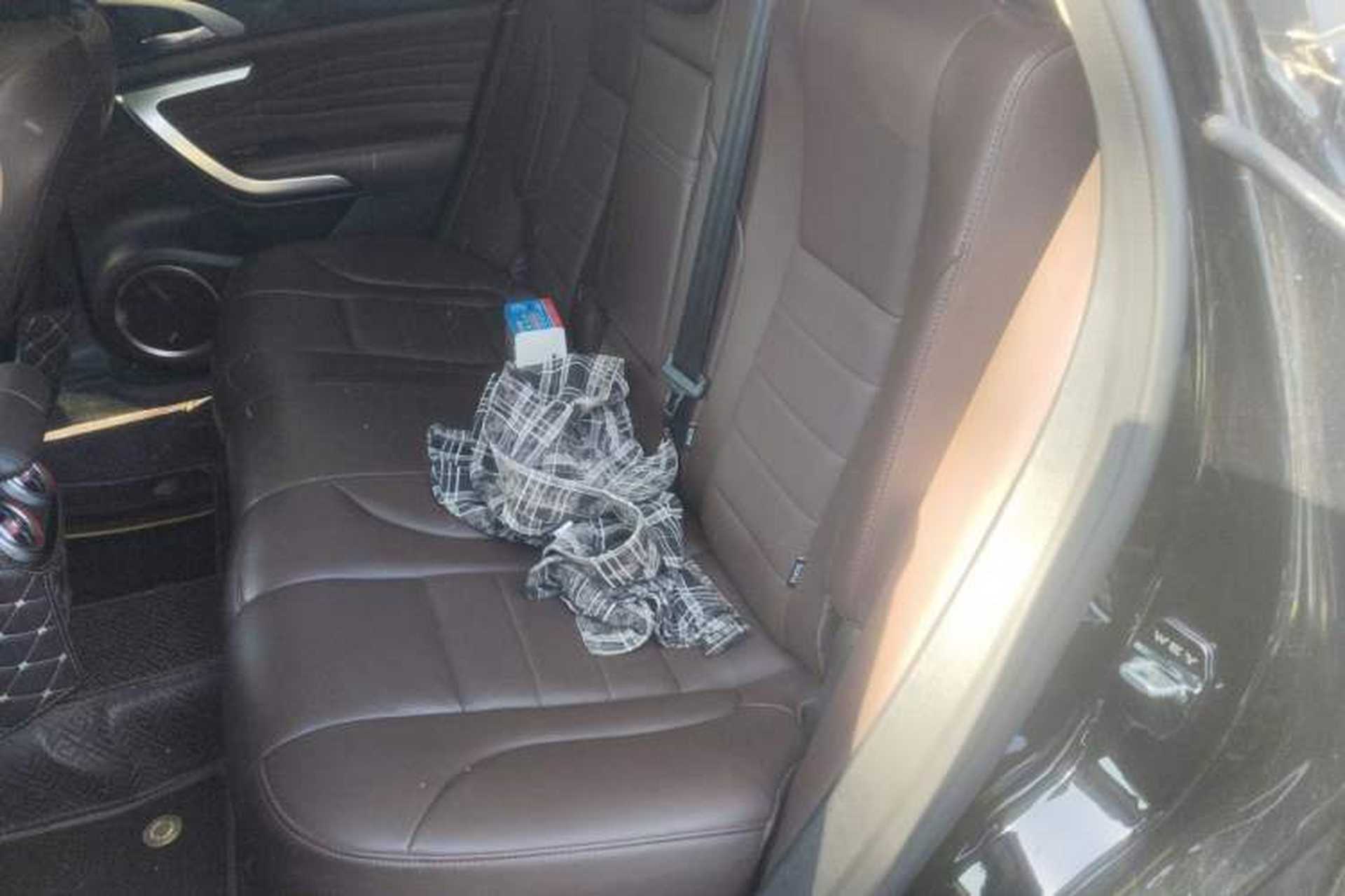 Used Wey VV7 2020 2.0T Flagship Edition Left Rear Seat