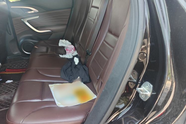 Used Wey VV7 2020 2.0T Flagship Edition Left Rear Seat