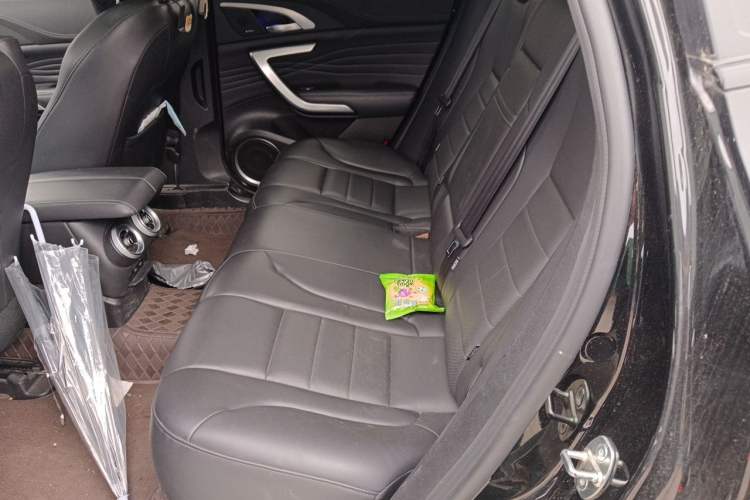 Used Wey VV7 2020 2.0T Flagship Edition Left Rear Seat