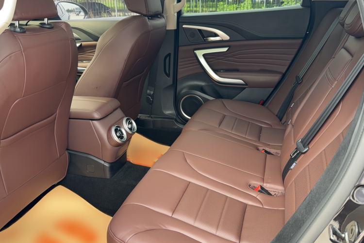 Used Wey VV7 2020 2.0T Ultra-Luxury Version Left Rear Seat