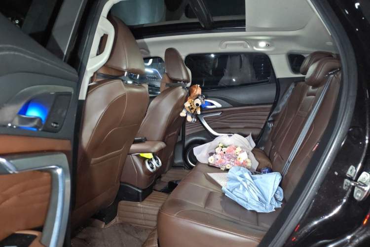 Used Wey VV7 2020 2.0T Flagship Edition Left Rear Seat