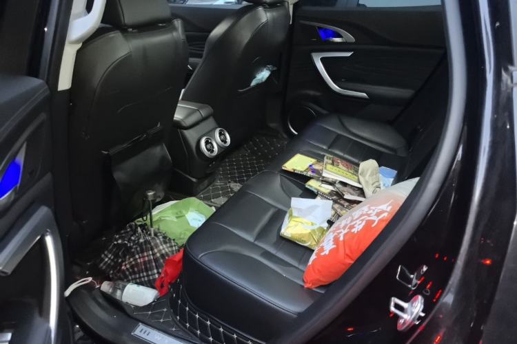 Used Wey VV7 2020 2.0T Flagship Edition Left Rear Seat