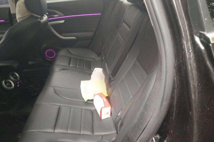 Used Wey VV7 2020 2.0T Flagship Edition Left Rear Seat