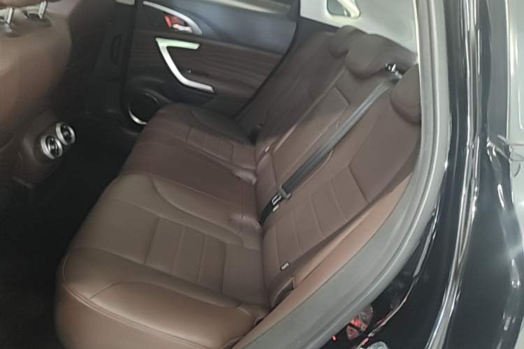 Used Wey VV7 2020 2.0T Flagship Edition Left Rear Seat