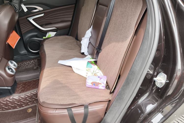 Used Wey VV7 2020 2.0T Flagship Edition Left Rear Seat