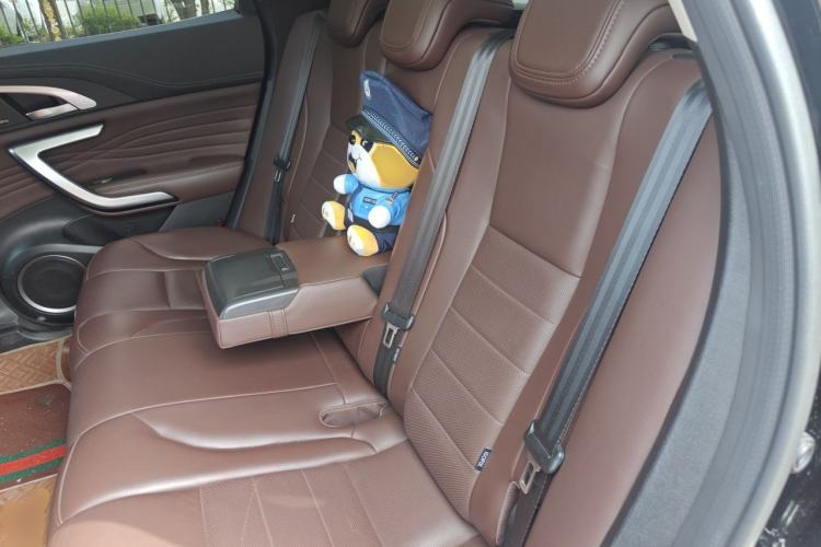 Used Wey VV7 2020 2.0T Flagship Edition Left Rear Seat