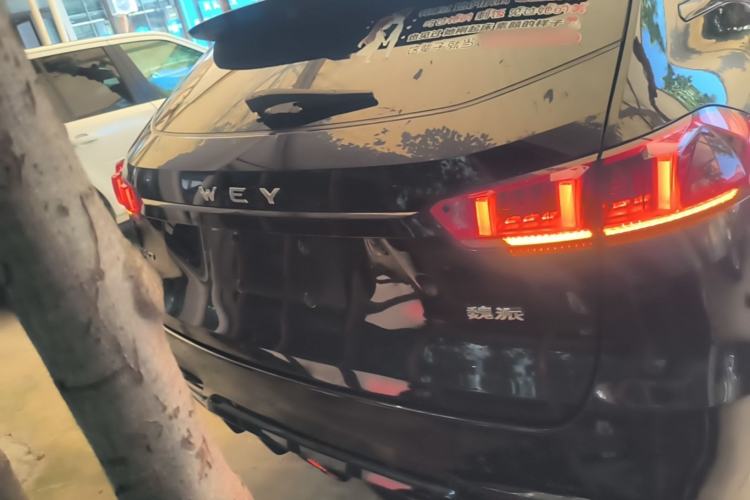 Used Wey VV7 2020 2.0T Ultra-Luxury Version Rear