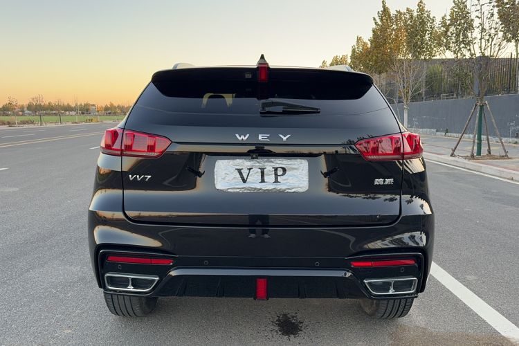 Used Wey VV7 2020 2.0T Flagship Edition Rear