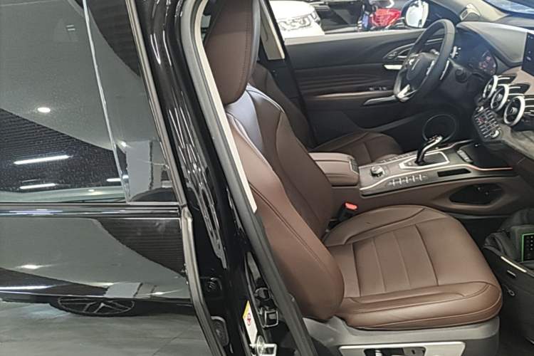 Used Wey VV7 2020 2.0T Flagship Edition Right Front Seat