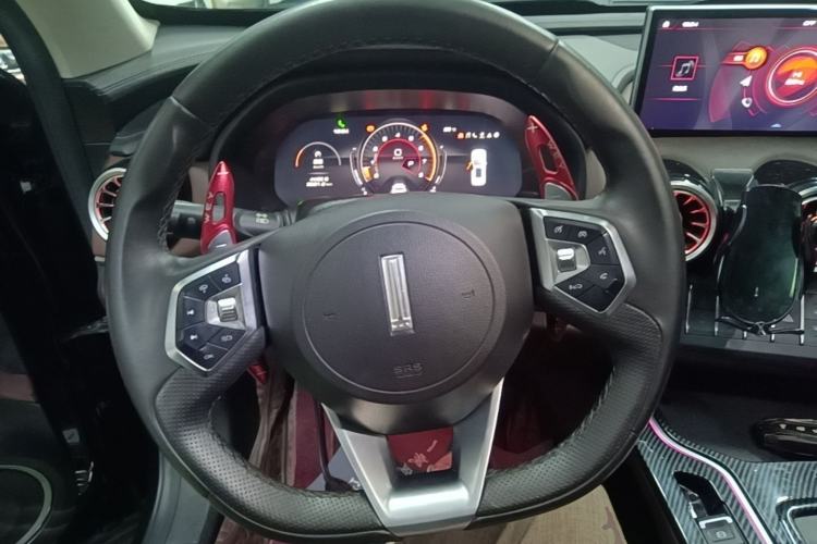 Used Wey VV7 2020 2.0T Ultra-Luxury Version Steering Wheel