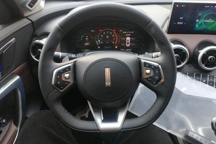 Used Wey VV7 2020 2.0T Flagship Edition Steering Wheel