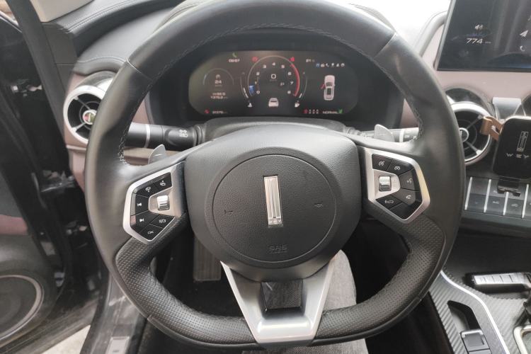 Used Wey VV7 2020 2.0T Ultra-Luxury Version Steering Wheel