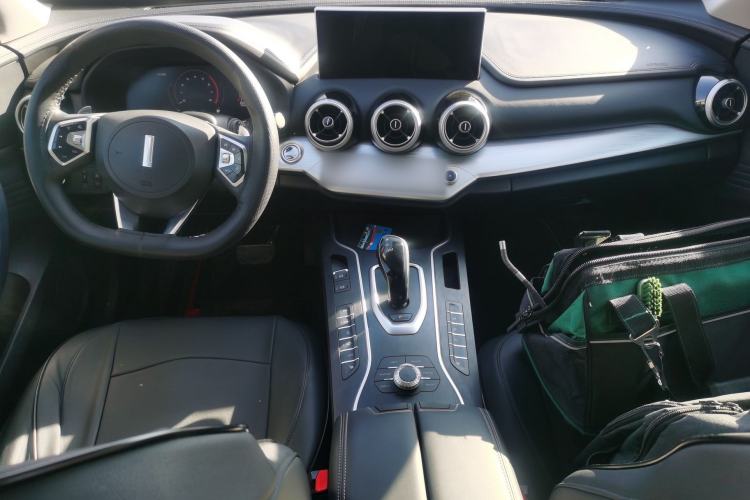 Used Wey VV7 2020 2.0T Ultra-Luxury Version Center Console