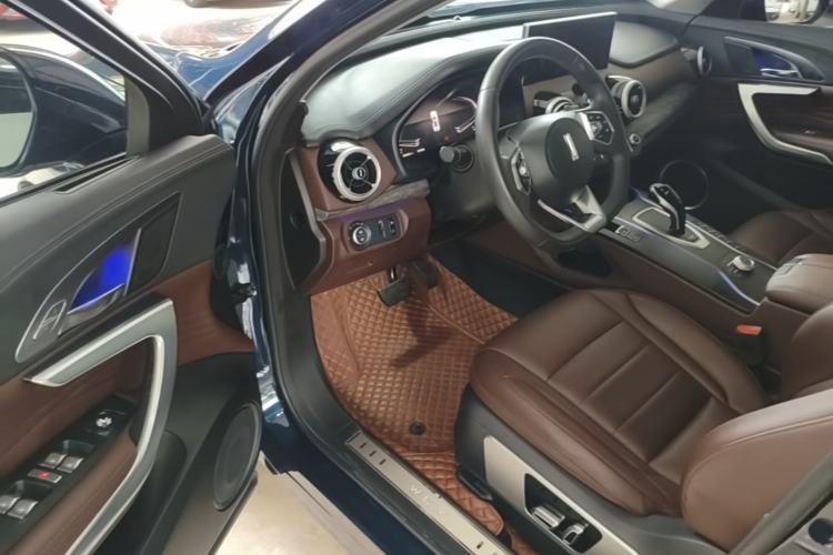Used Wey VV7 2020 2.0T Ultra-Luxury Version Driver Seat