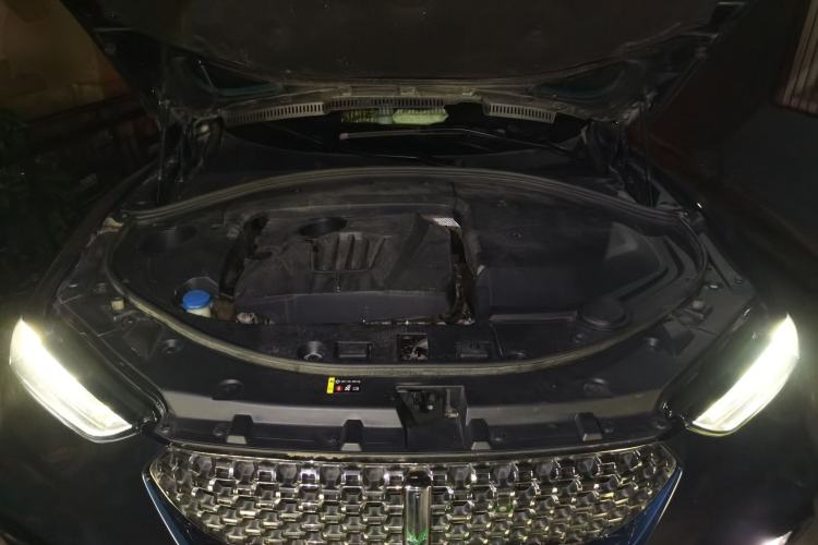 Used Wey VV7 2020 2.0T Ultra-Luxury Version Engine Bay