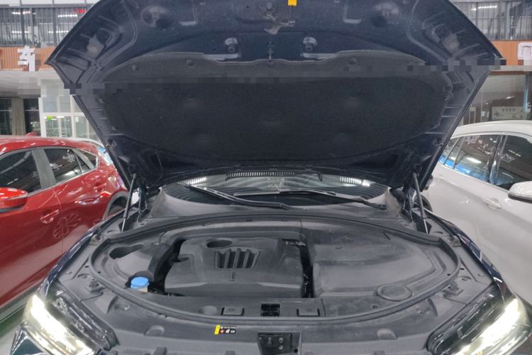 Used Wey VV7 2020 2.0T Ultra-Luxury Version Engine Bay