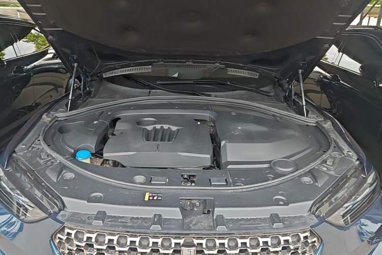 Used Wey VV7 2020 2.0T Ultra-Luxury Version Engine Bay