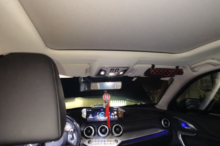 Used Wey VV7 2020 2.0T Ultra-Luxury Version Headliner