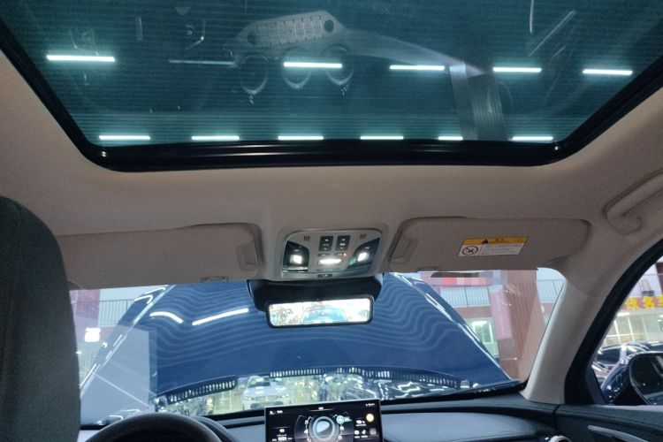 Used Wey VV7 2020 2.0T Ultra-Luxury Version Headliner