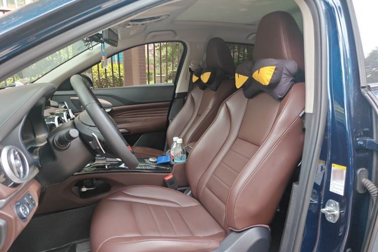 Used Wey VV7 2020 2.0T Ultra-Luxury Version Left Front Seat
