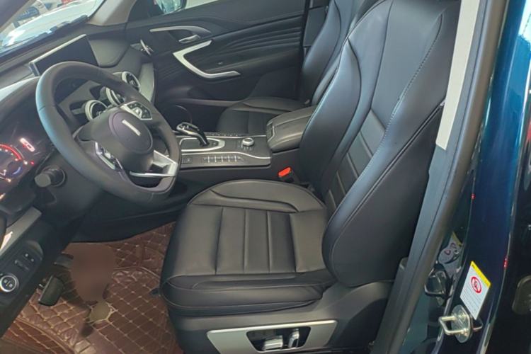 Used Wey VV7 2020 2.0T Ultra-Luxury Version Left Front Seat