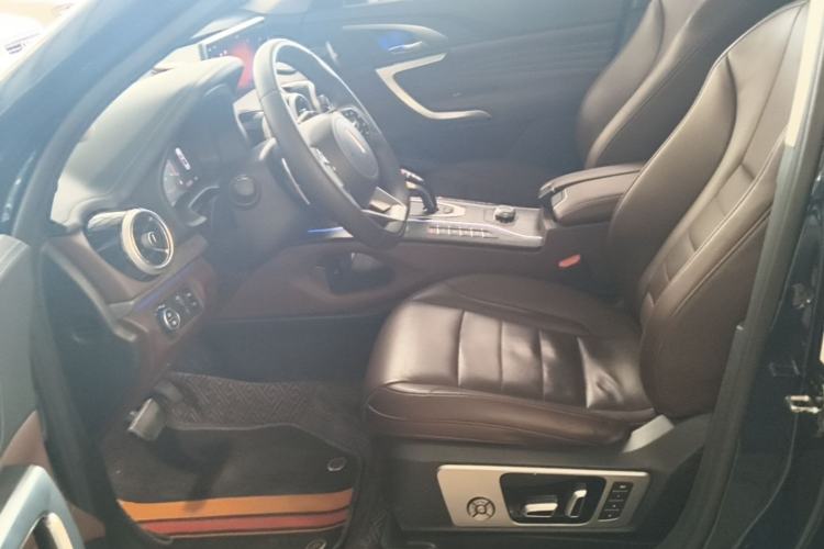 Used Wey VV7 2020 2.0T Flagship Edition Left Front Seat
