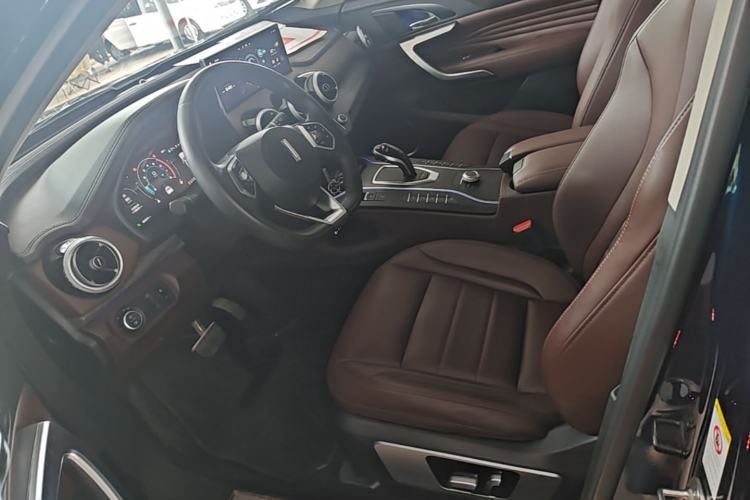 Used Wey VV7 2020 2.0T Ultra-Luxury Version Left Front Seat