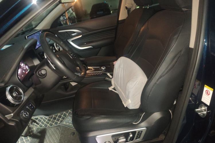 Used Wey VV7 2020 2.0T Flagship Edition Left Front Seat