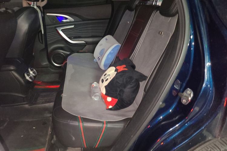 Used Wey VV7 2020 2.0T Flagship Edition Left Rear Seat