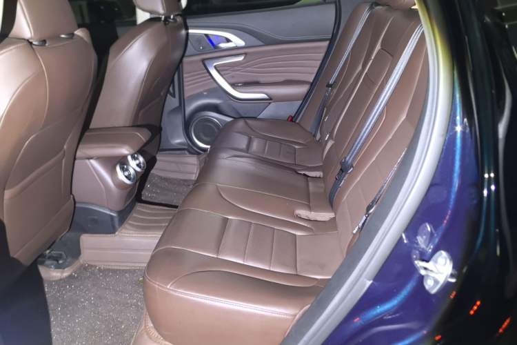 Used Wey VV7 2020 2.0T Flagship Edition Left Rear Seat