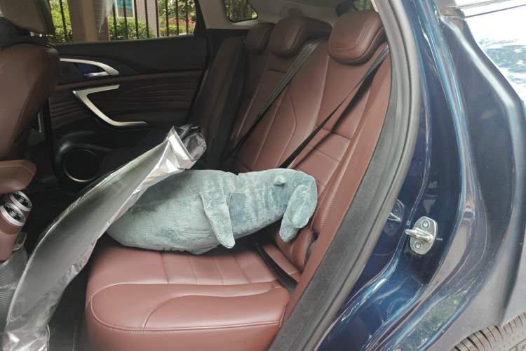 Used Wey VV7 2020 2.0T Ultra-Luxury Version Left Rear Seat