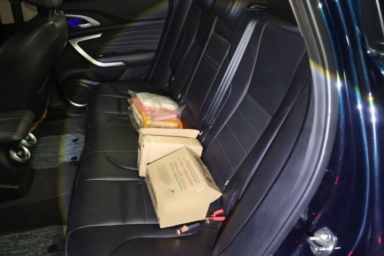 Used Wey VV7 2020 2.0T Ultra-Luxury Version Left Rear Seat