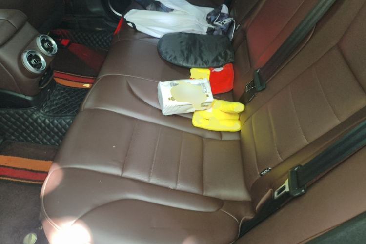 Used Wey VV7 2020 2.0T Flagship Edition Left Rear Seat