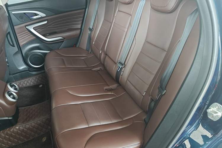 Used Wey VV7 2020 2.0T Flagship Edition Left Rear Seat
