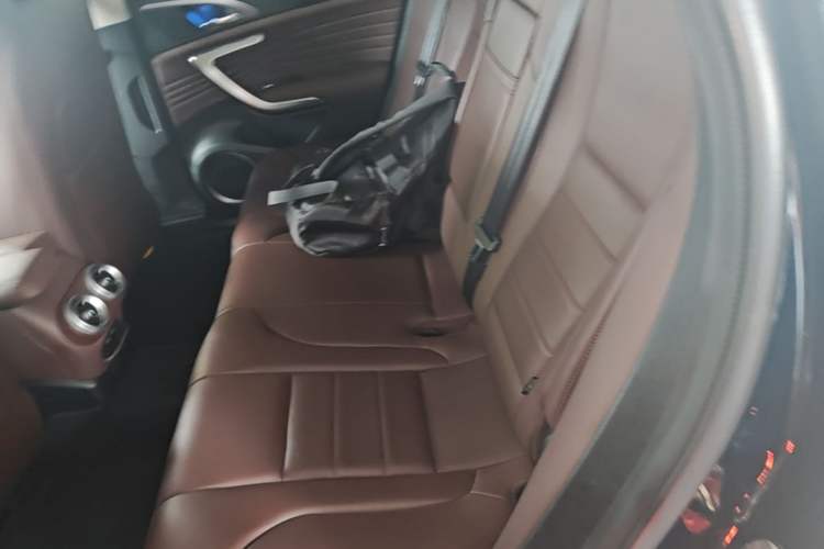 Used Wey VV7 2020 2.0T Ultra-Luxury Version Left Rear Seat