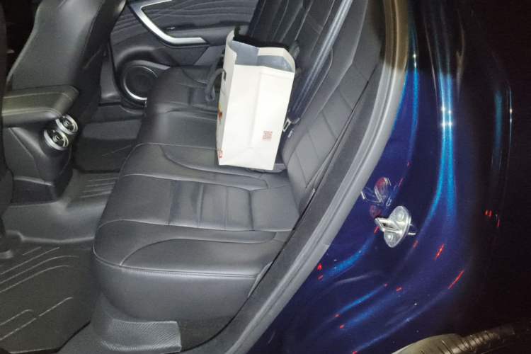 Used Wey VV7 2020 2.0T Flagship Edition Left Rear Seat