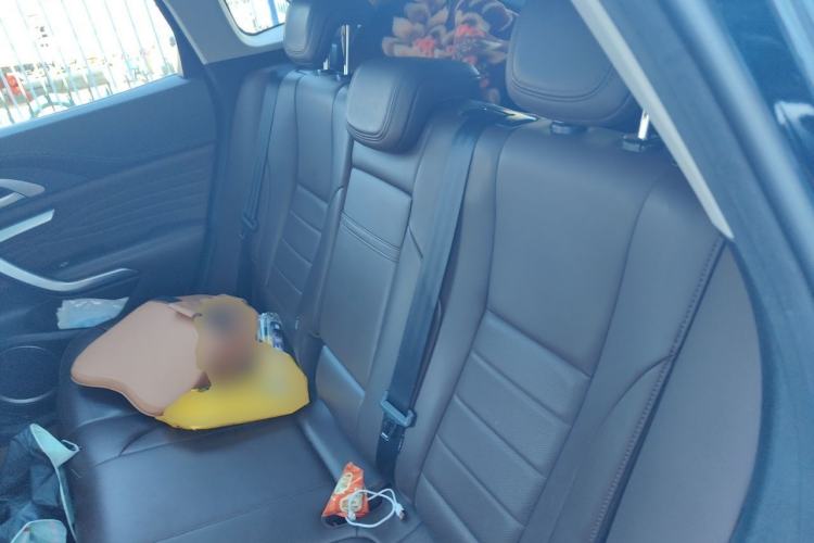 Used Wey VV7 2020 2.0T Flagship Edition Left Rear Seat