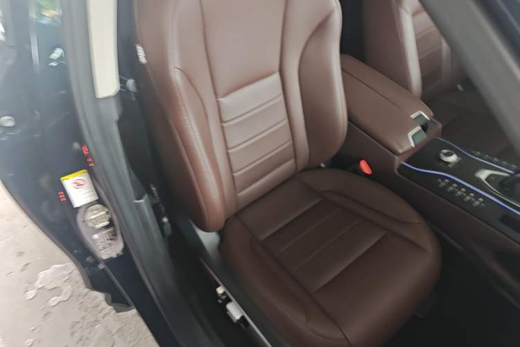 Used Wey VV7 2020 2.0T Ultra-Luxury Version Right Front Seat