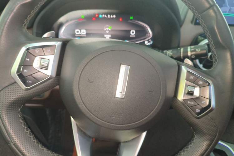 Used Wey VV7 2020 2.0T Flagship Edition Steering Wheel