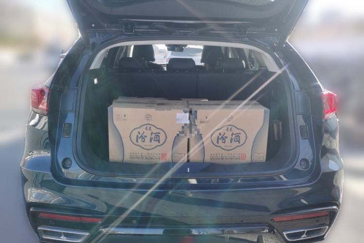 Used Wey VV7 2020 2.0T Ultra-Luxury Version Trunk