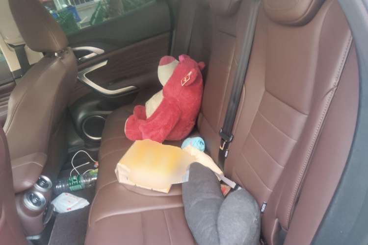 Used Wey VV7 2020 2.0T Flagship Edition Left Rear Seat