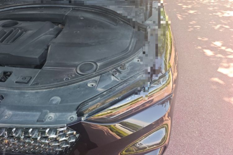 Used Wey VV7 2020 2.0T Flagship Edition Engine Bay Left