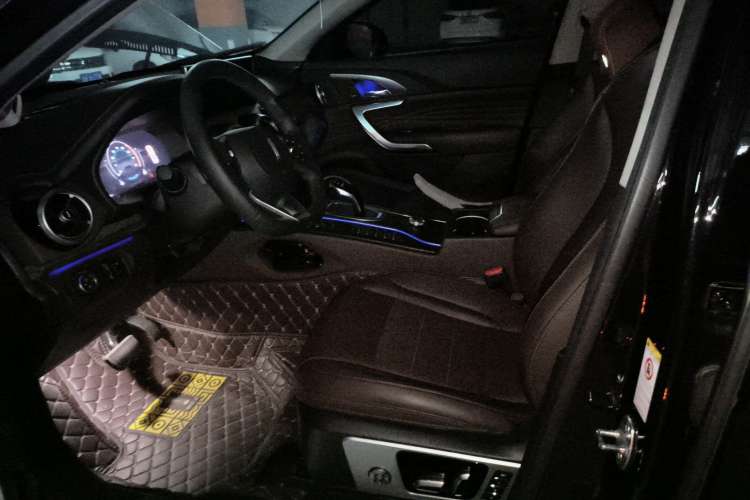 Used Wey VV7 2020 2.0T Flagship Edition Left Front Seat