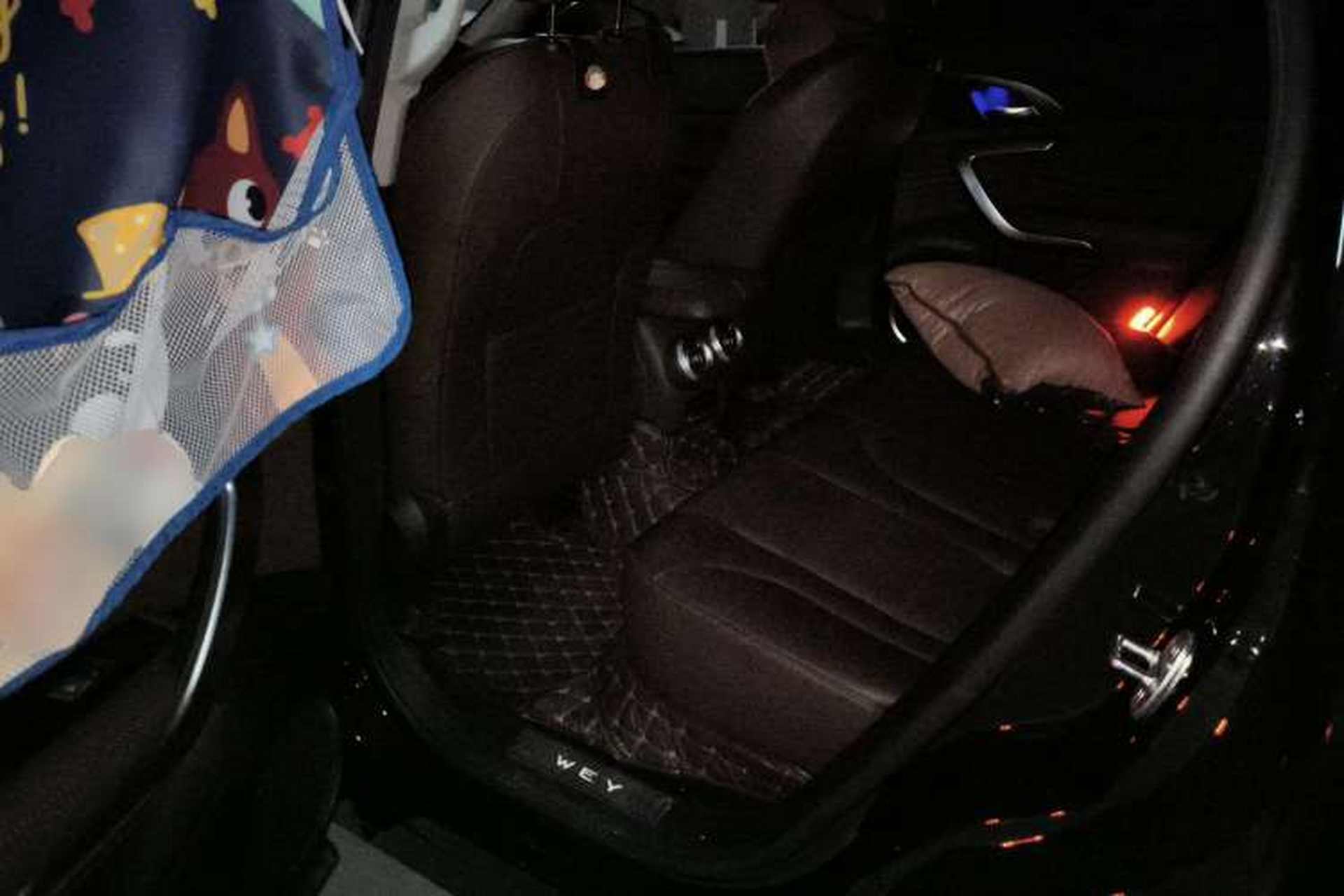 Used Wey VV7 2020 2.0T Flagship Edition Left Rear Seat