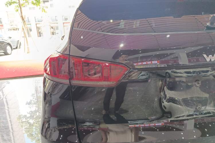 Used Wey VV7 2020 2.0T Flagship Edition Left Rear Taillight