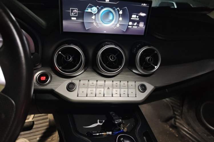 Used Wey VV7 2020 2.0T Ultra-Luxury Version Audio And AC Panel