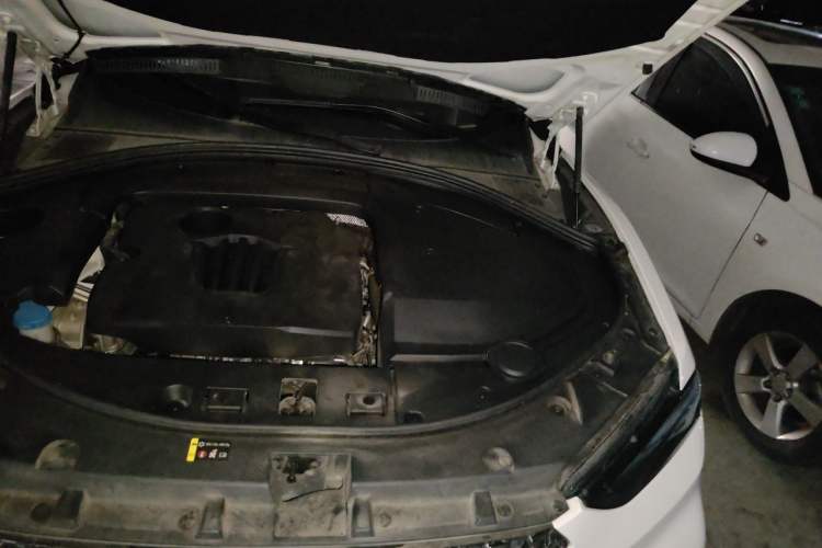 Used Wey VV7 2020 2.0T Flagship Edition Engine Bay Left