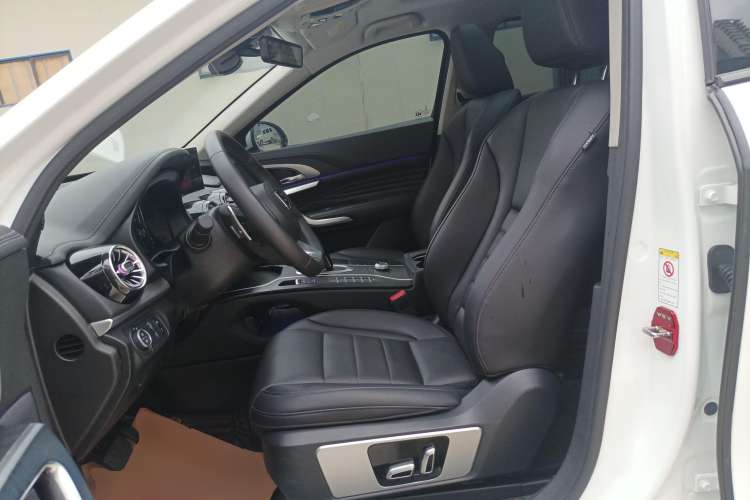 Used Wey VV7 2020 2.0T Ultra-Luxury Version Left Front Seat